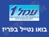 בואו נטייל בפריז