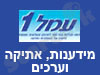 מידענות, אתיקה וערכים ברשת