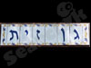 גן זית