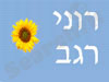 רוני רגב 