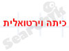 הכיתה הוירטואלית 