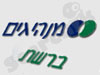 מנהיגים ברשת