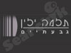 תלמה ילין