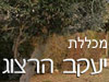 מכללת יעקב הרצוג