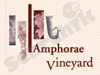 amphoraevineyard